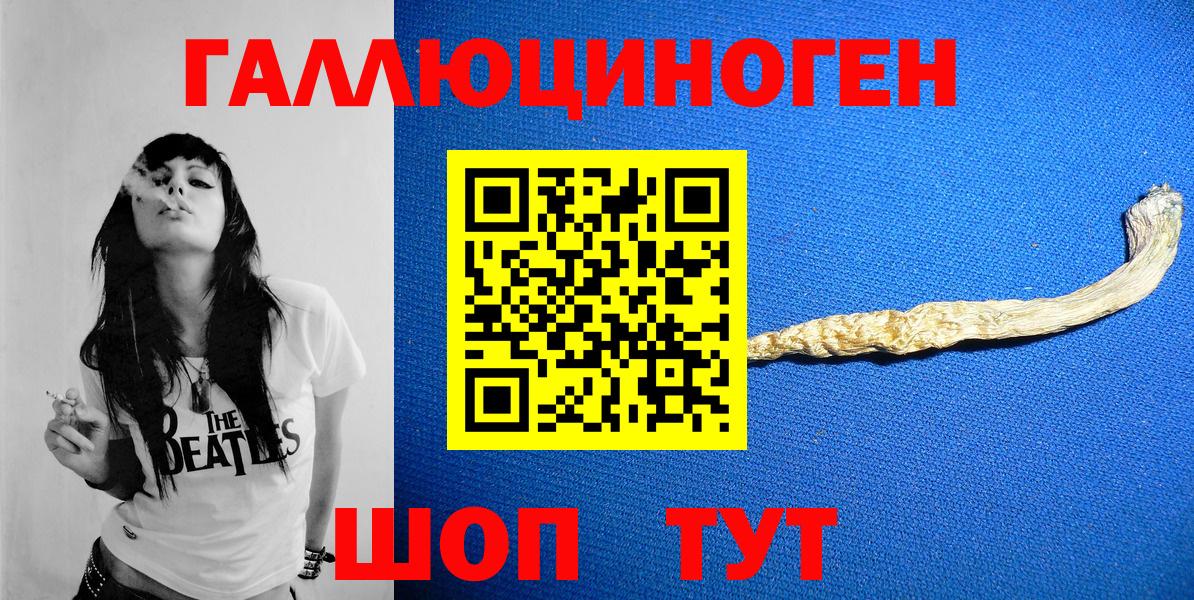 Галлюциногенные грибы Psilocybe Владикавказ