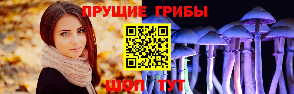 Псилоцибиновые грибы прущие грибы  Псилоцибиновые грибы прущие грибы  Вход с VPN  Владикавказ 